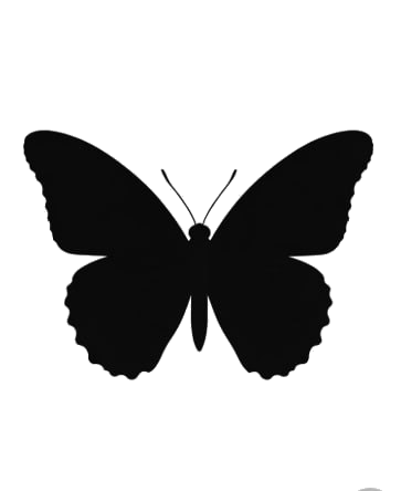 Zerynthia butterfly